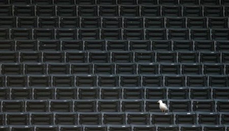 No One Is Going To Cleveland Indians Games