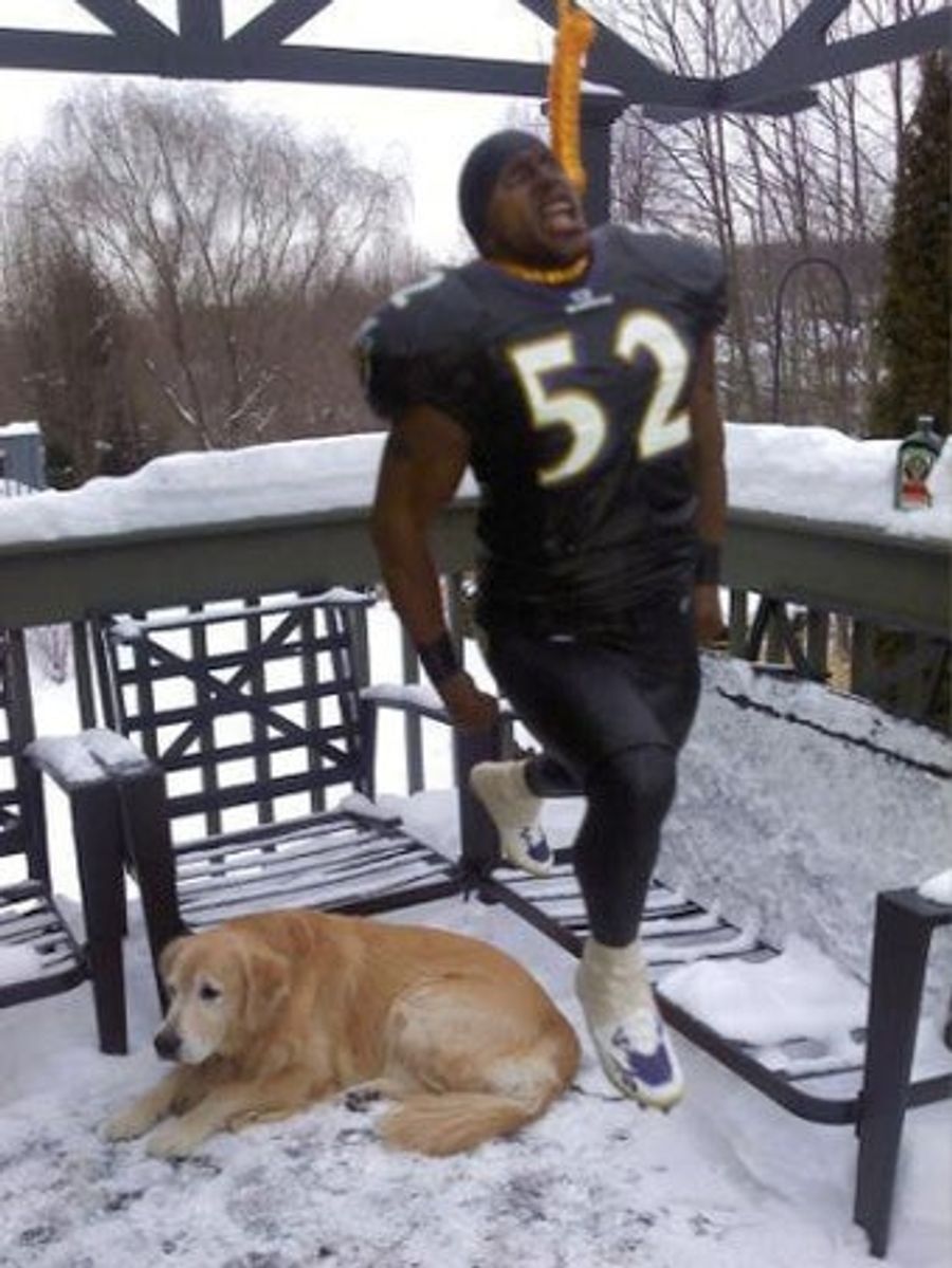 Here's A Picture Of Ray Lewis Hanging In Effigy Near Pittsburgh