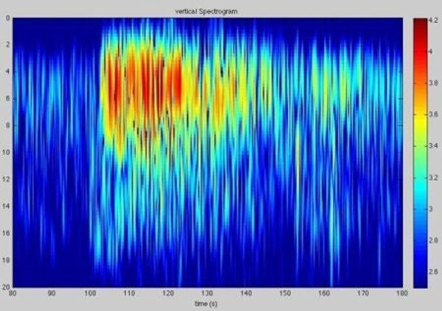 No, Seahawks Fans Didn&#39;t Cause An Earthquake