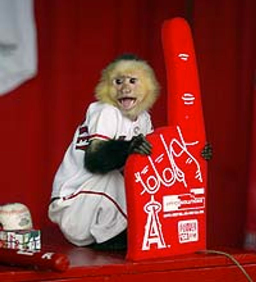&#39;Rally Monkey&#39; Creator Destitute, Selling World Series Ring