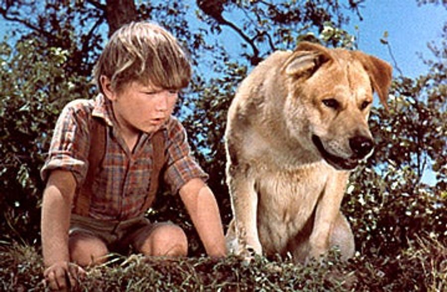 Cockblocked By Old Yeller. GREAT MOMENTS IN DRUNKEN HOOKUP FAILURE