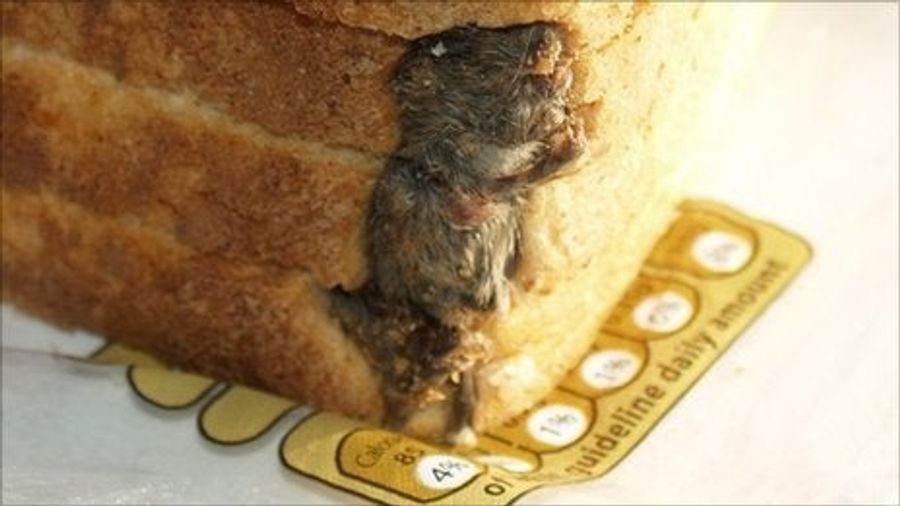 Who Wants To See A Dead Mouse Found In A Loaf Of Bread?