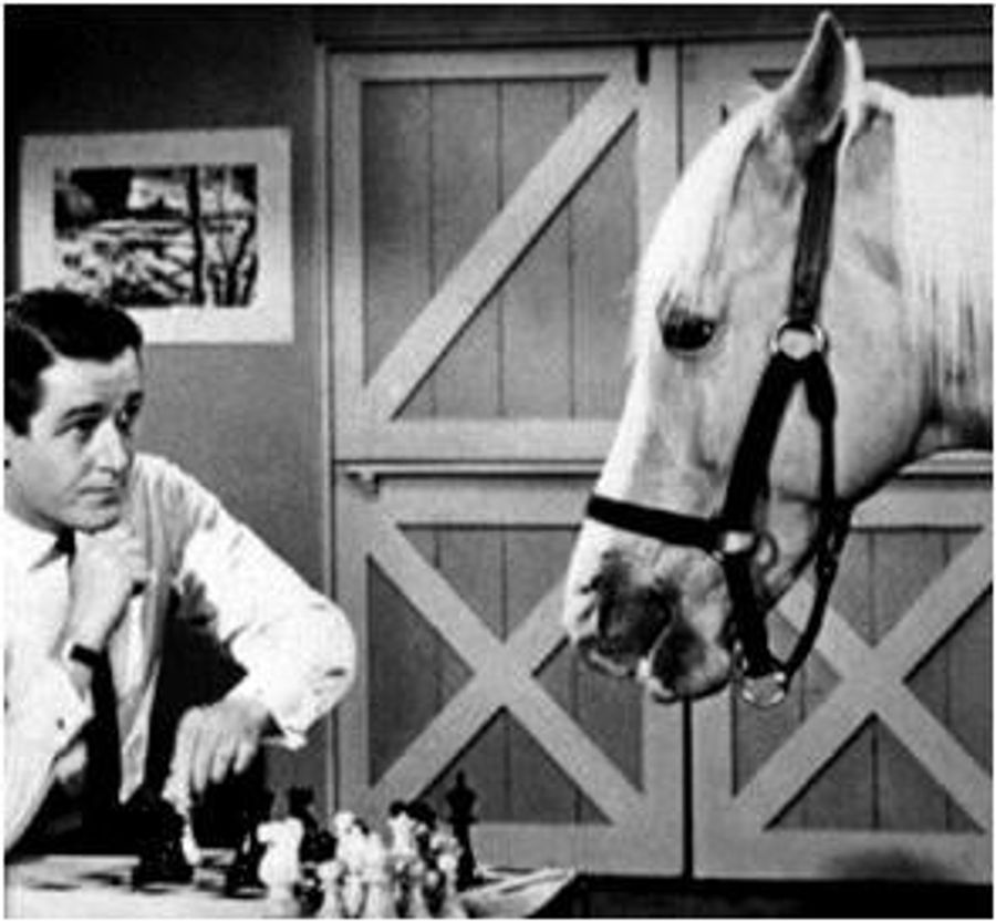 Deadspin Classic: Letters To Barbaro