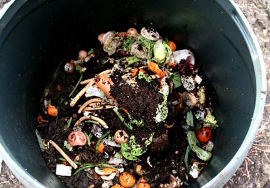 Fun With Composting Old Rubbers!