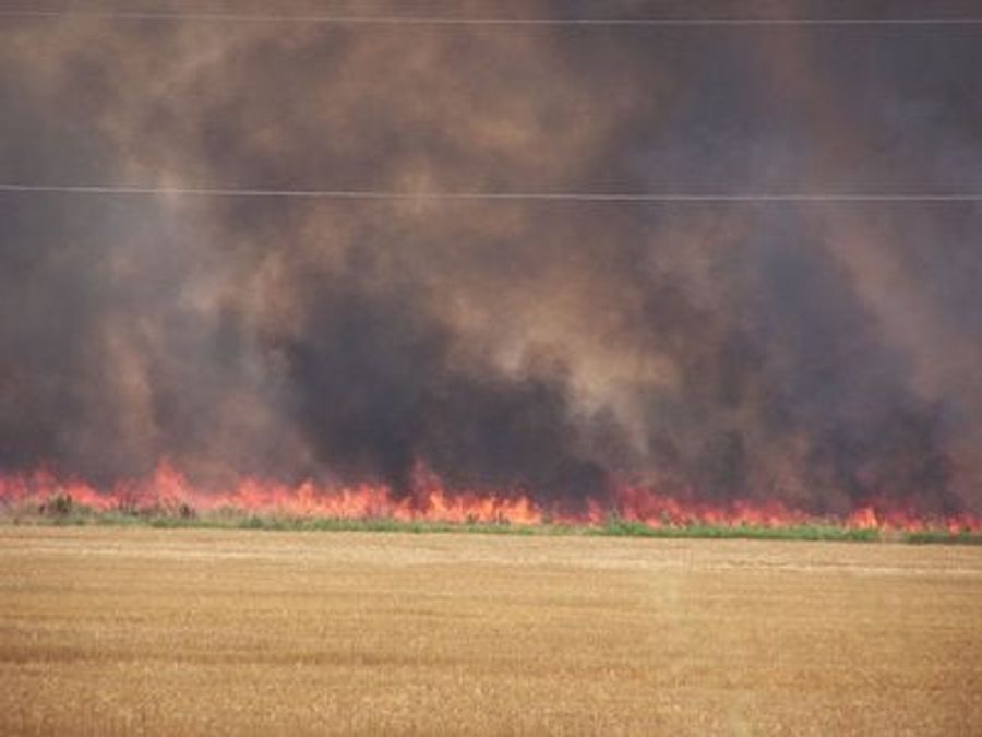 Grounds Crew Sets Fire To Baseball Field To Dry It