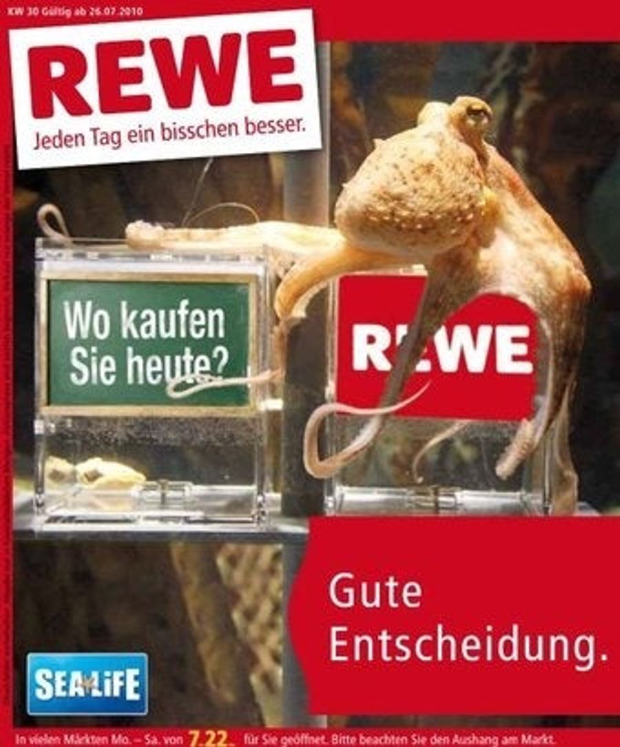 Lovable Psychic Octopus To Be Exploited Further