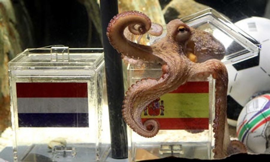 Ahmadinejad Says Paul The Octopus Spreading "Western Propaganda And Superstition"