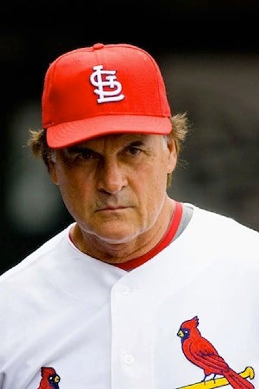 Tea Partiers Support Diamondbacks, Tony La Russa Supports Tea Partiers