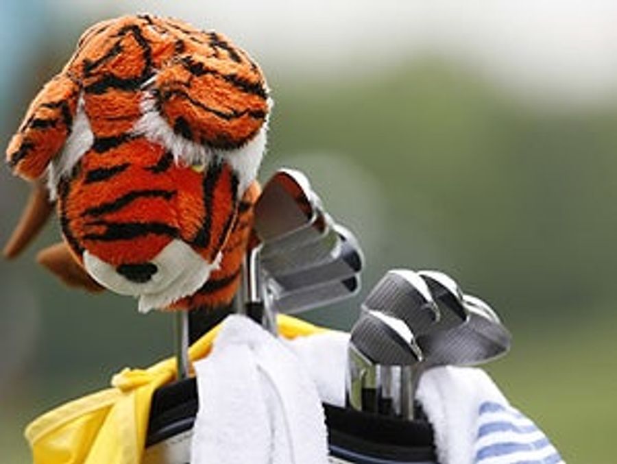 Headlines That Get Funnier After Midnight: &quot;Tiger Penis Found At Auckland Airport&quot;