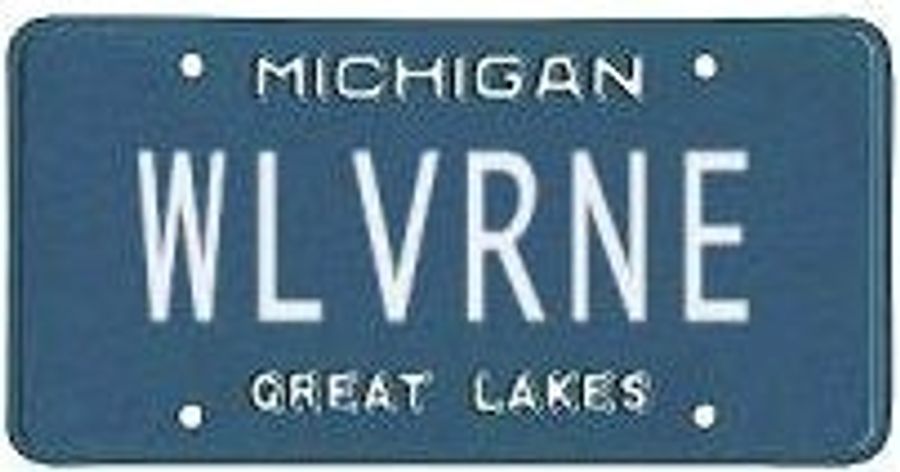 Michigan Fan Can't Think Of Any Way To Show His Loyalty Other Than His License Plate