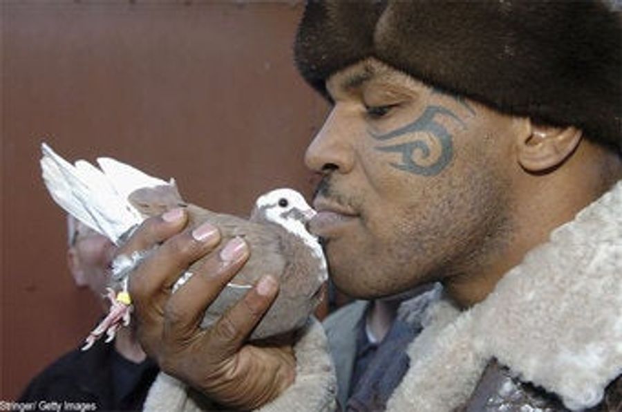 Potential Train Wreck Alert: Mike Tyson Gets Reality Show