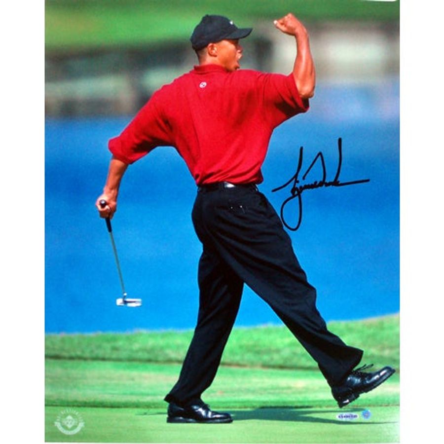 Tiger Now Crushing Children&#39;s Dreams