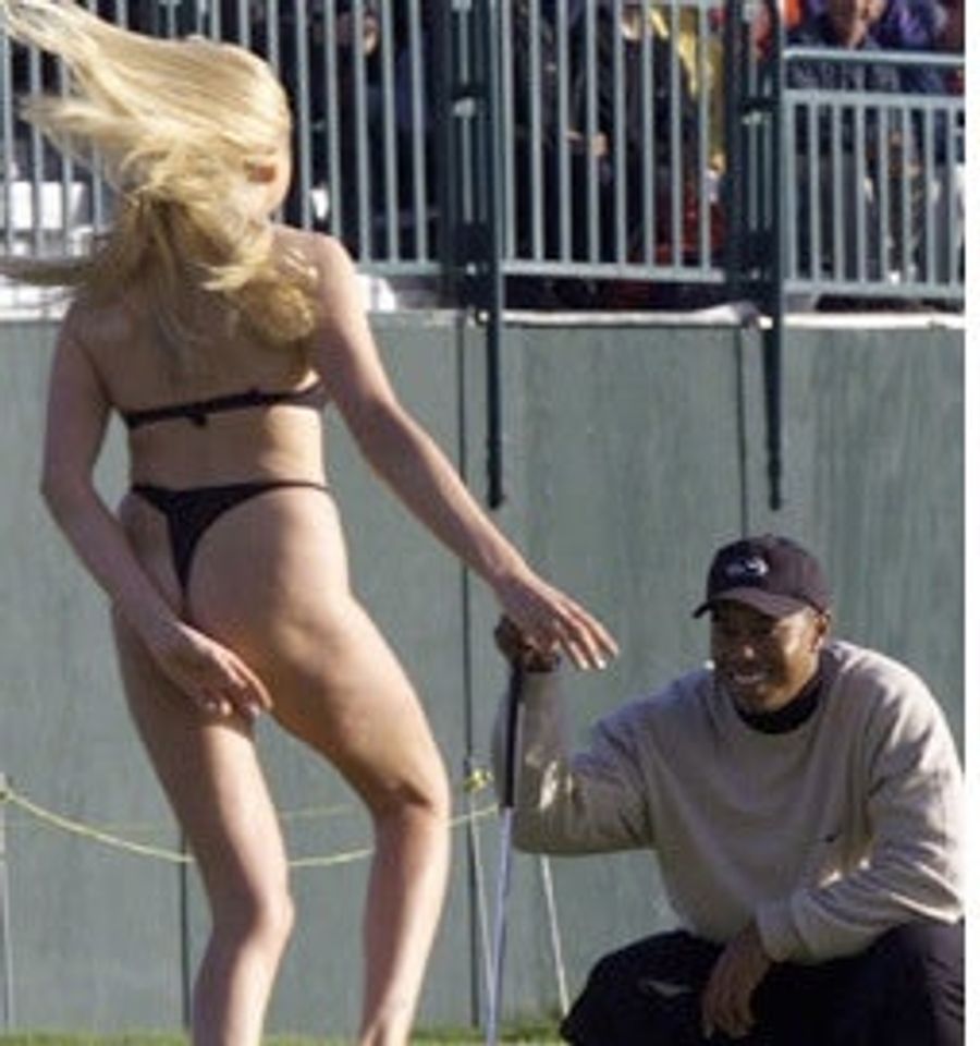 Beware The Cock-Loitering Cheetah Backlash And A Parnevik Scorned