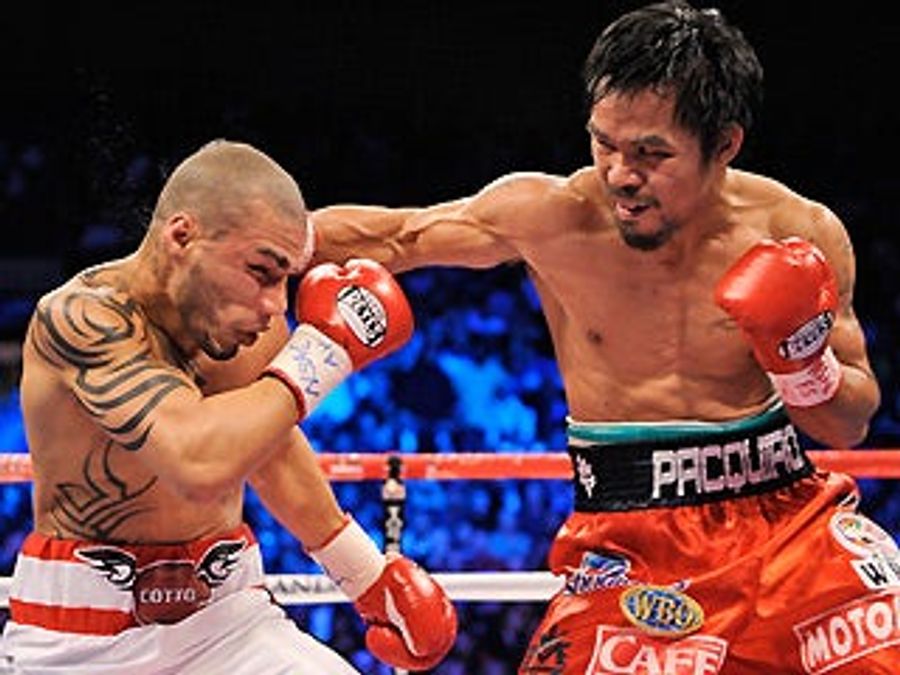 All You Need To Know About Last Night&#39;s Fight