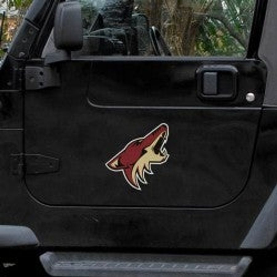Optimistic Coyotes Fan Misses Point Entirely