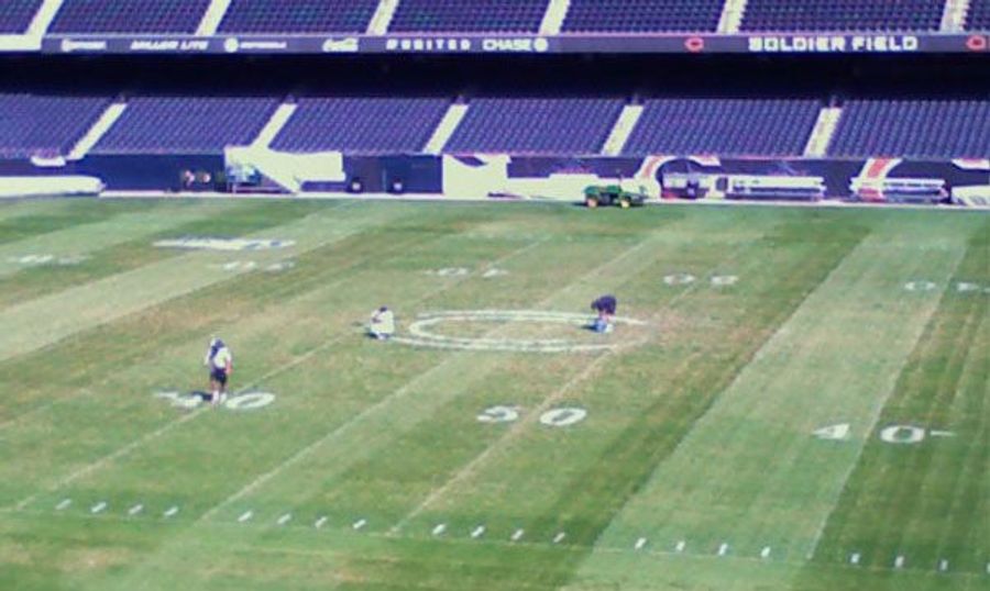 Bears Begin The Season With Five-Yard Penalty