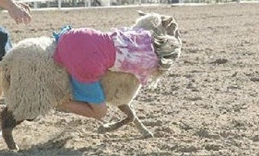 The Tao Of Mutton Bustin'