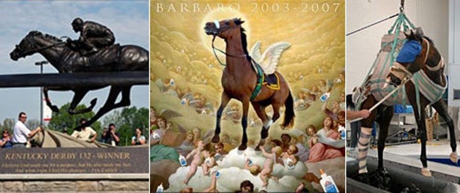 Deadspin HOF Nominee: Barbaro