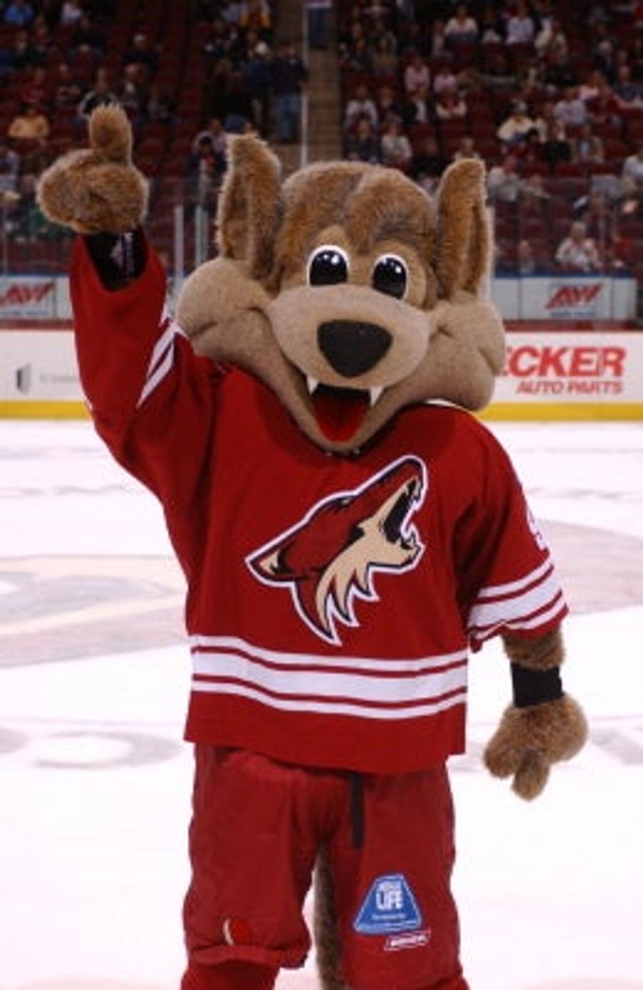 Of All The Horrible Moves The NHL Has Made, This Is...Maybe Not Even Top 10