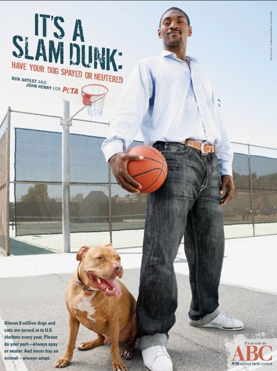 Once Again, Ron Artest Is The Voice Of Reason