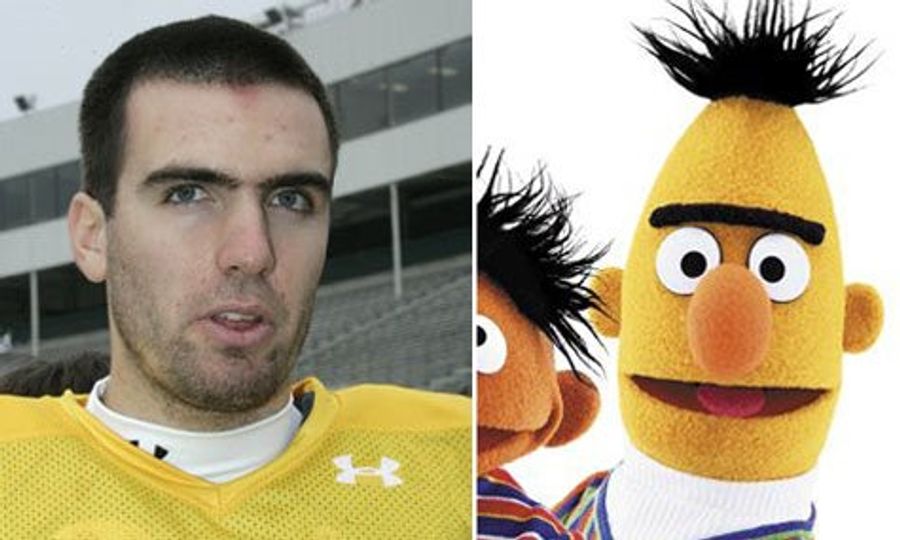 Who Dares To Tamper In Joe Flacco's Unibrow Domain?