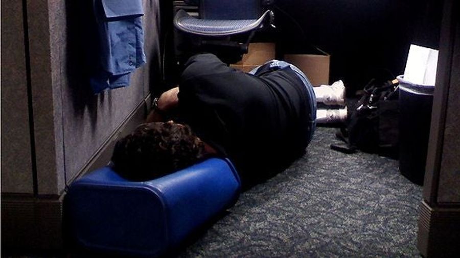 What Is This Slumbering, Slobbery Beast Asleep On The Floor?
