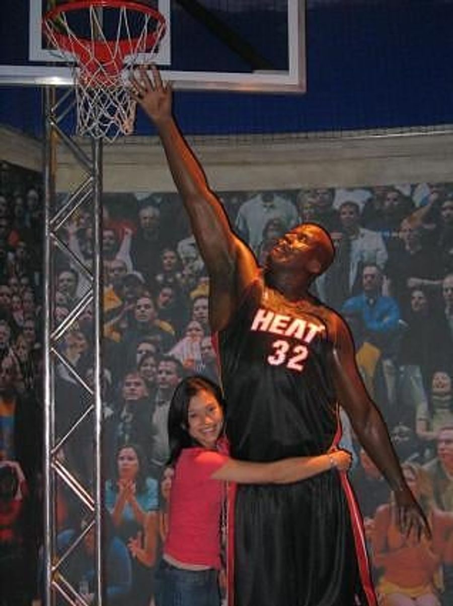 Afternoon Blogdome: Hack The Shaq You&#39;re With