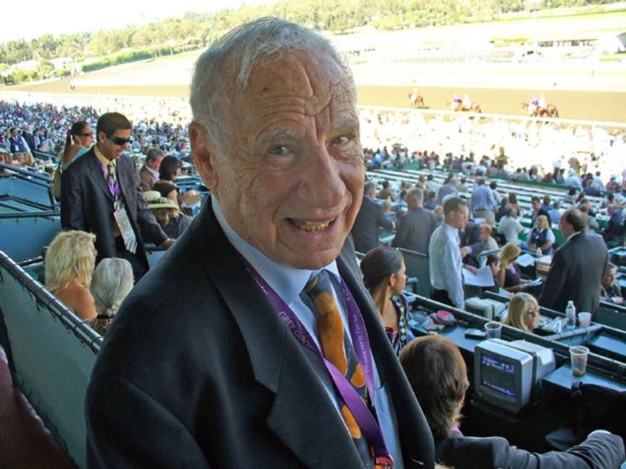 Blazing Saddles; A Day At The Breeders' Cup
