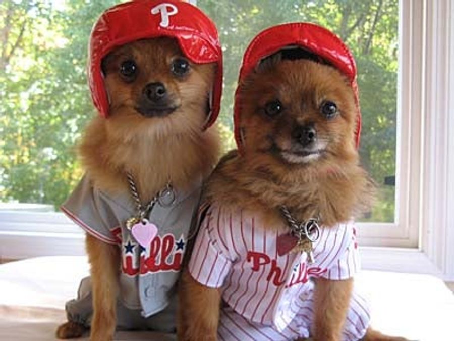 Two Phillie Dogs To Go, Please