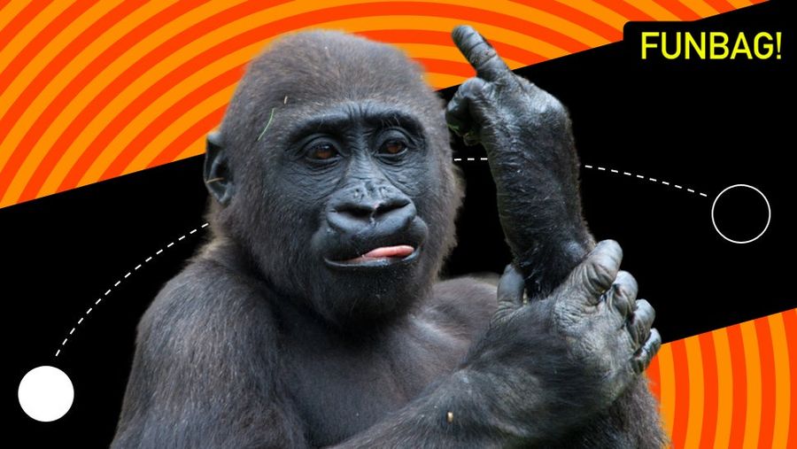 Is Monkey In The Middle The Meanest Childhood Game?