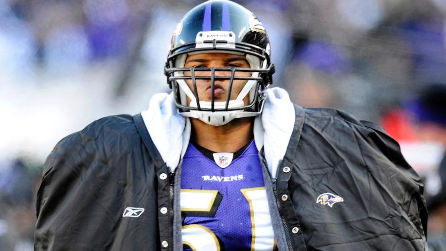 Brendon Ayanbadejo Was Cut Because He&#39;s Old And Expensive, Not Because He Supports Gay Marriage