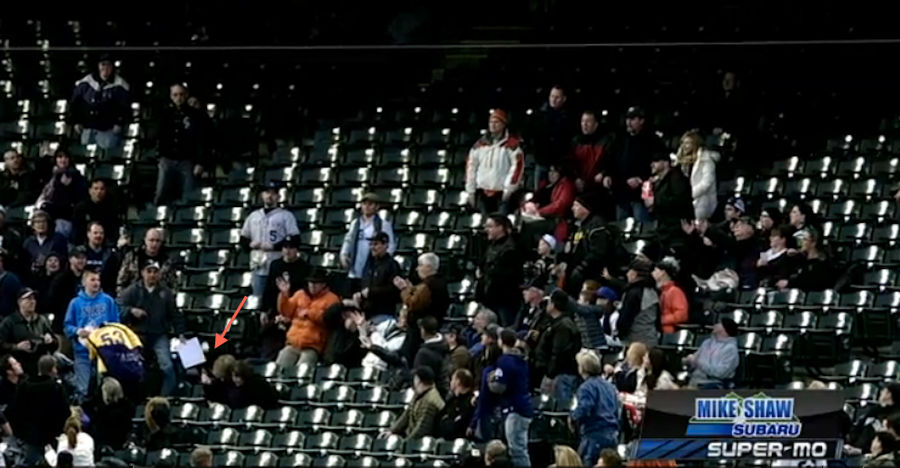 Old Lady Goes To Ballgame, Catches Foul Ball While Ignoring Ballgame