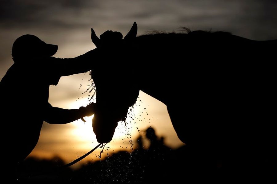 Your Last-Minute Crowdsourced Kentucky Derby Betting Guide