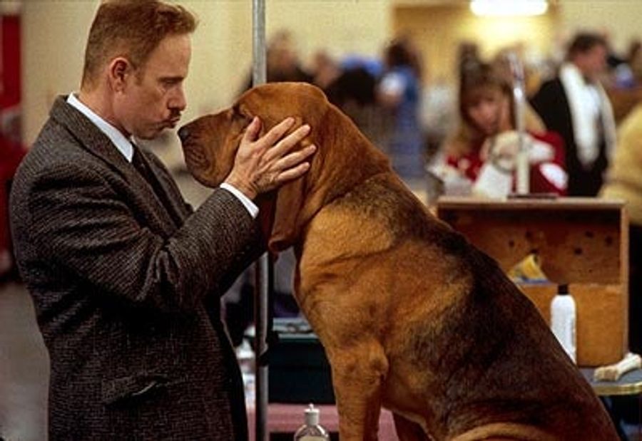 Show Dog