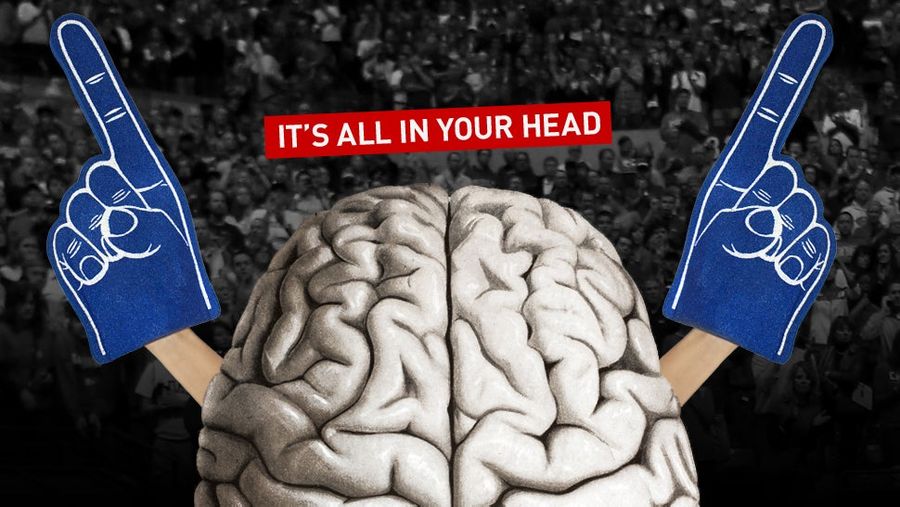 Why You're Still A Fan, Despite All The Crap: A Look Inside Your Brain