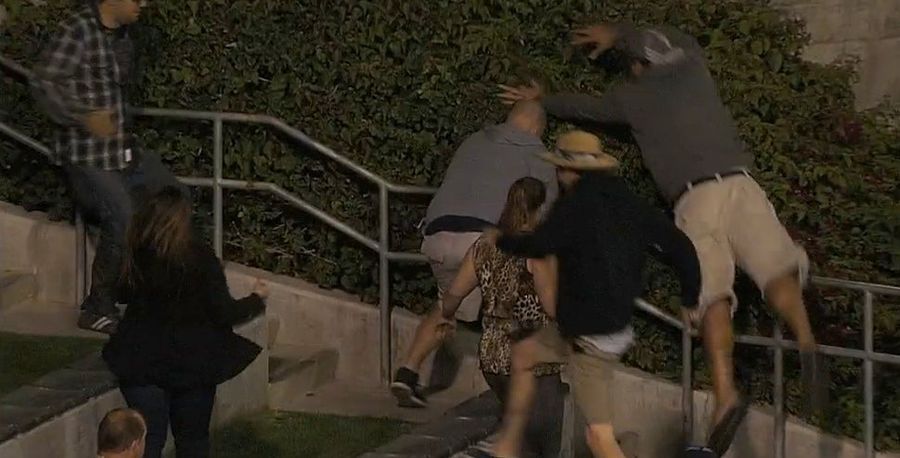 Fan In San Diego Can&#39;t Get To Home Run Ball, So He Leaps Into Bushes