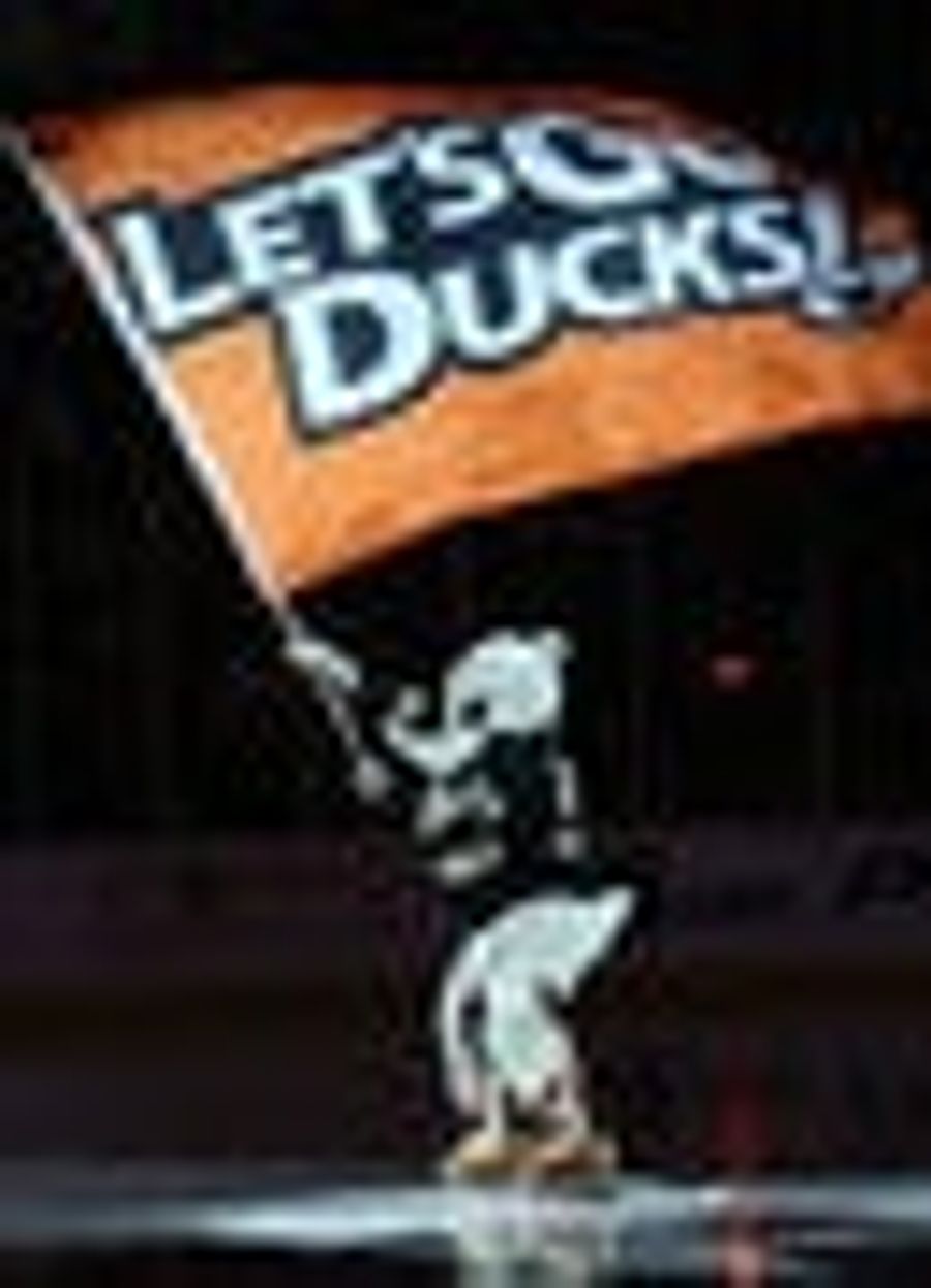 That's One Sad Duck
