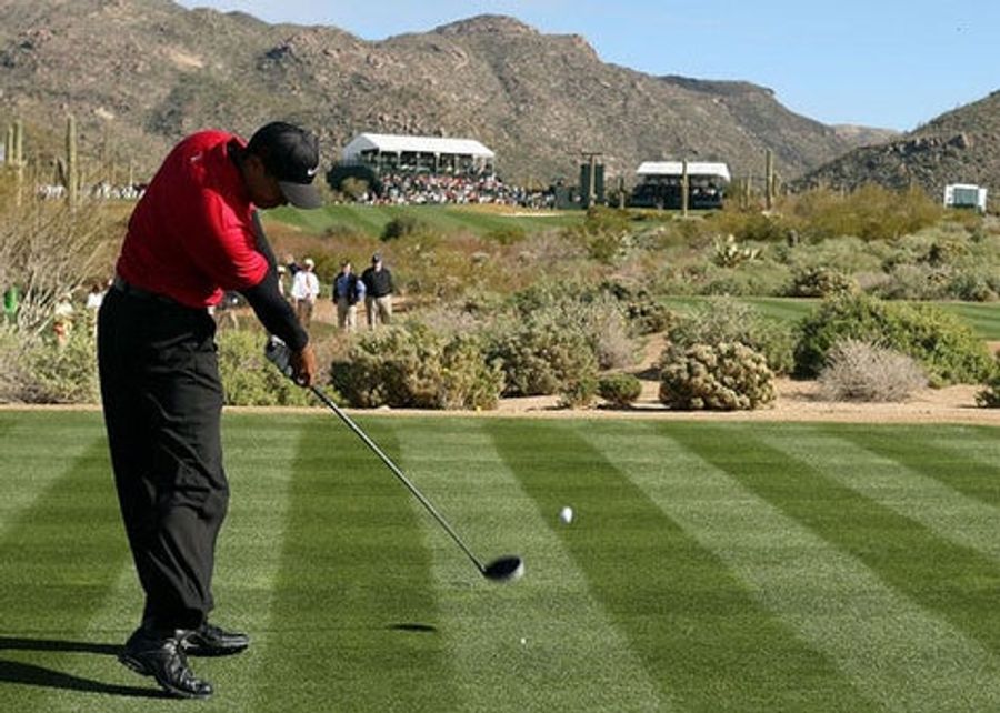 Tiger Is Unstoppable