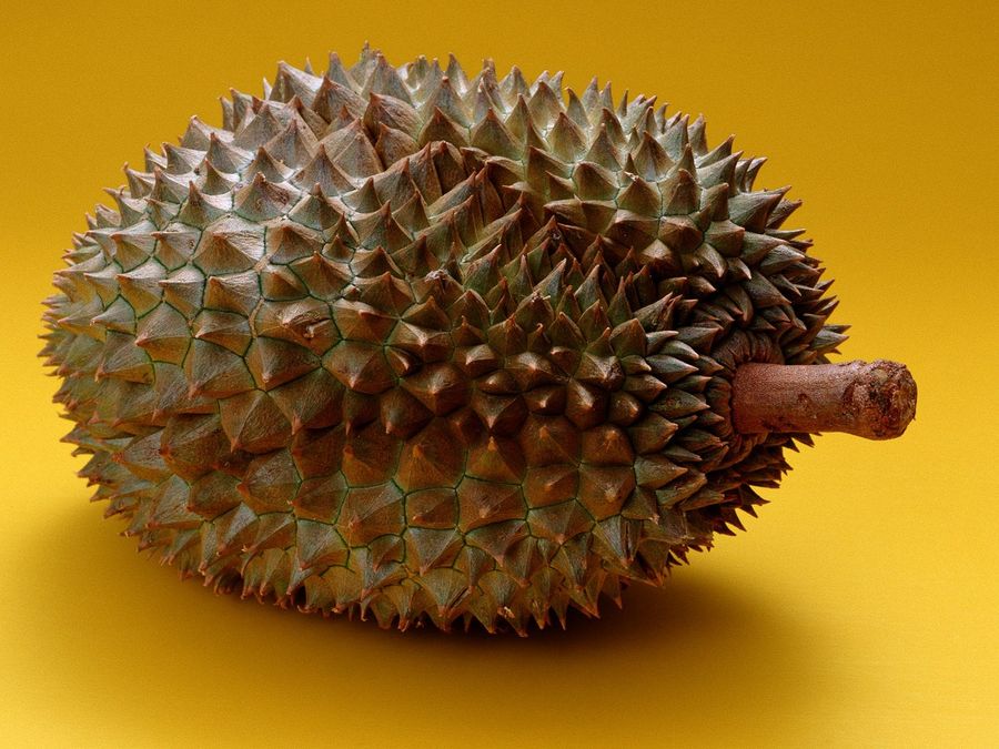 Tell Us About The Worst Thing You Ever Ate On Purpose