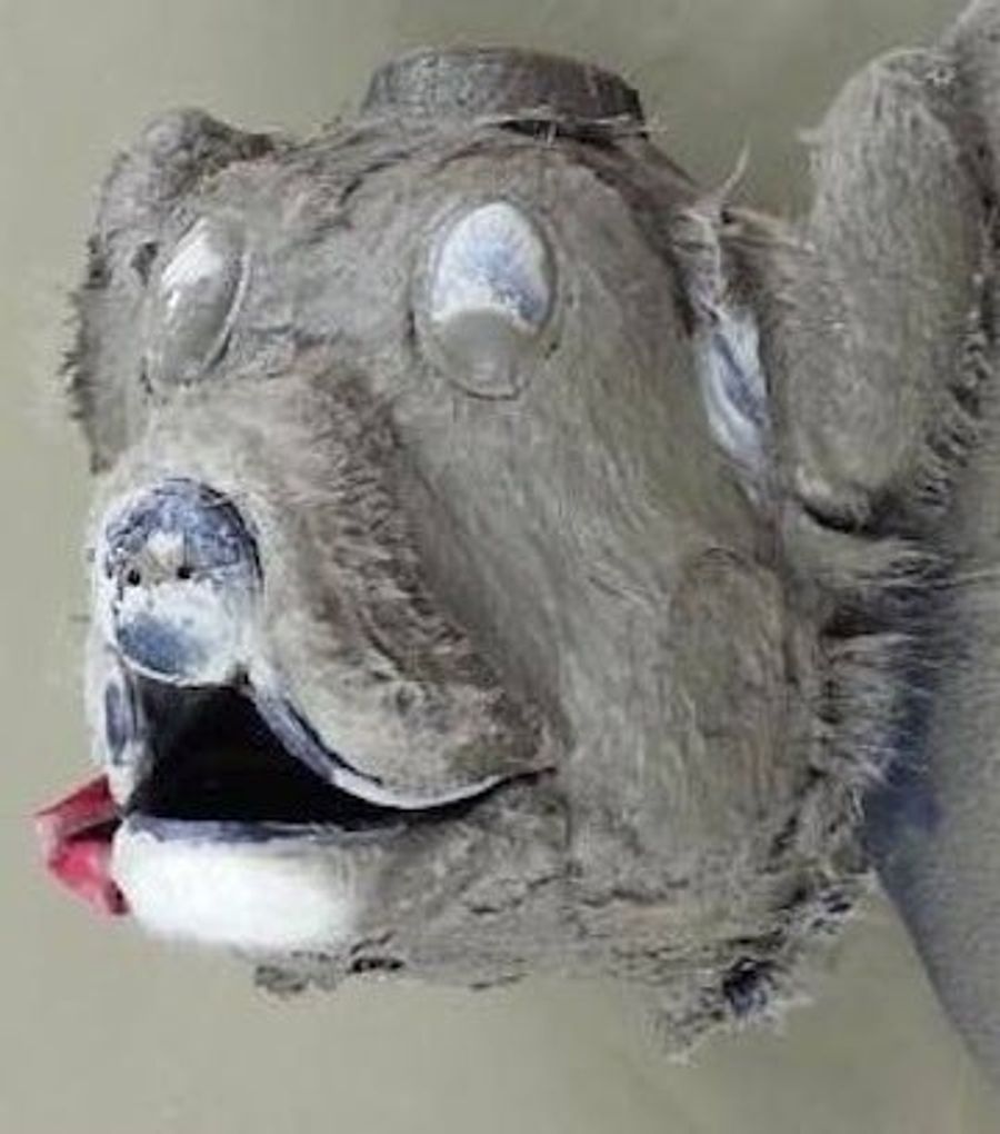 Harvey The Hound's Head Recovered