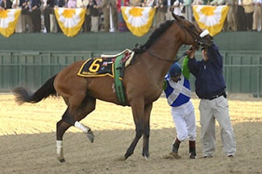 And The Barbaro Message Boarders Got Mad At US!