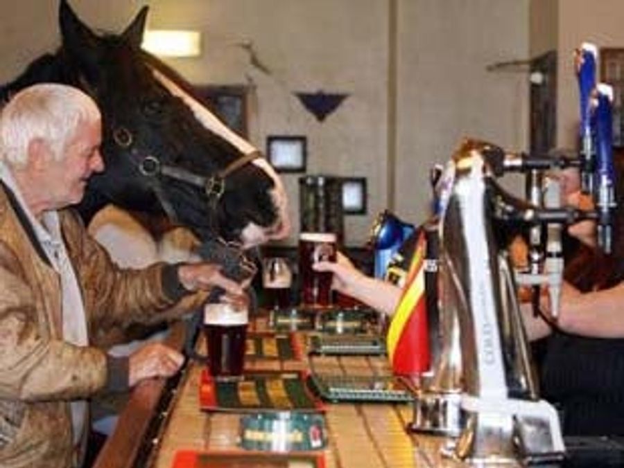 So Lift Your Glass To Barbaro, And Sing No Mournful Songs