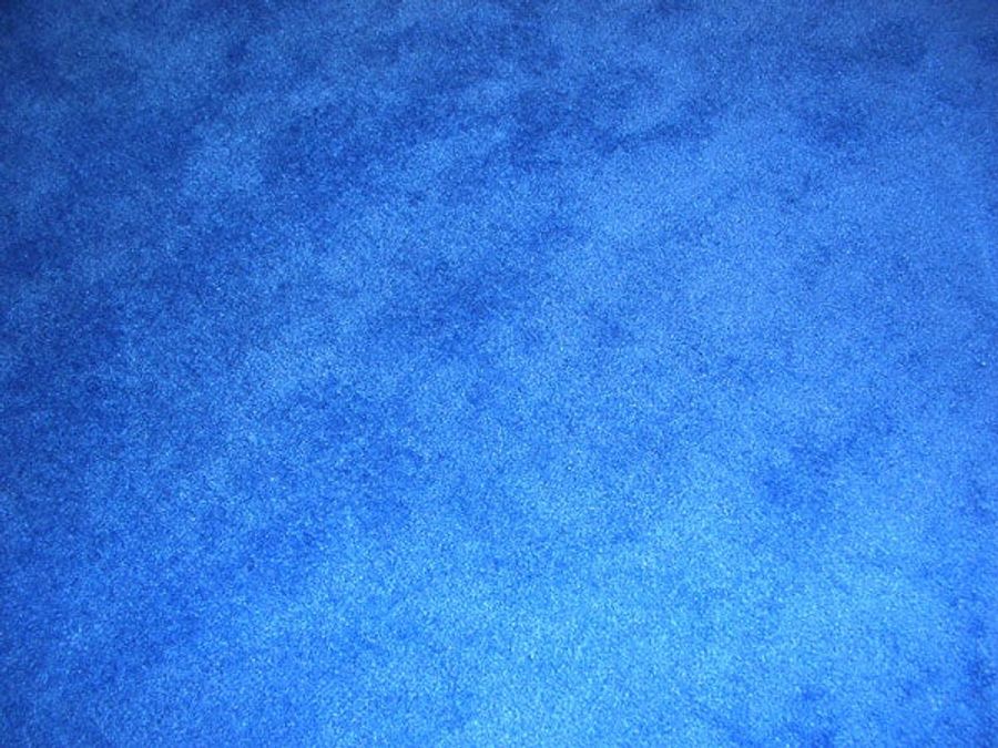 Daulerio at SBXLI: Hello, Blue Carpet, Goodbye, McNabb