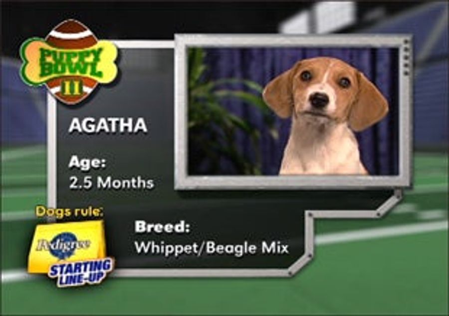 Deconstructing Puppy Bowl III