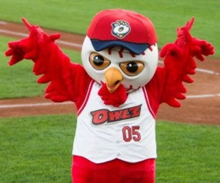 Hoot, There It Is
