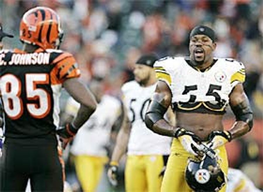 Joey Porter Might Have Gotten Himself Whupped