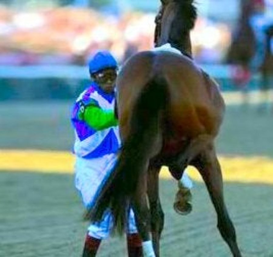 For Sale: Game-Worn Barbaro Saddle