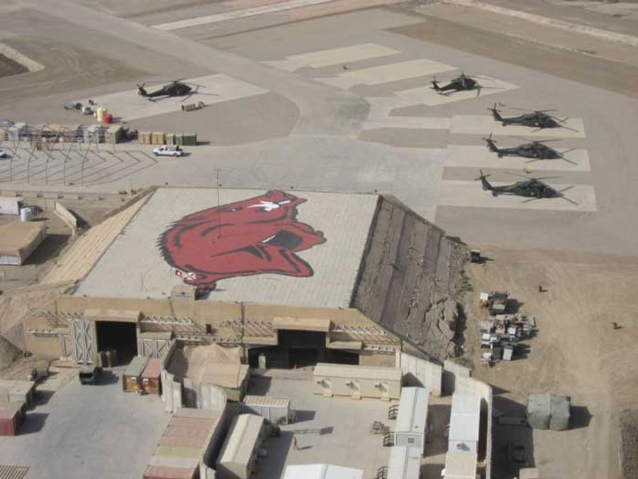 Sometimes, Arkansas Fans Are Crazy In A Good Way