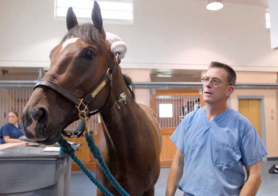 Watch, Hoof, Watch!