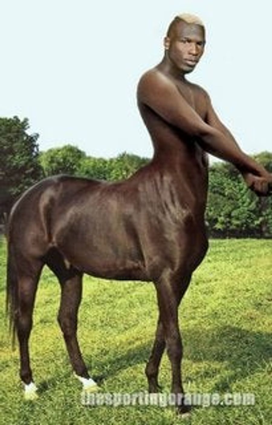 Chad Johnson: The New Barbaro?